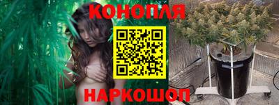круглые Тара