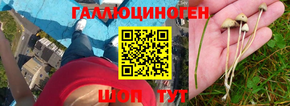 Псилоцибиновые грибы ЛСД  Псилоцибиновые грибы MAGIC MUSHROOMS  Вход с VPN  Новочеркасск 